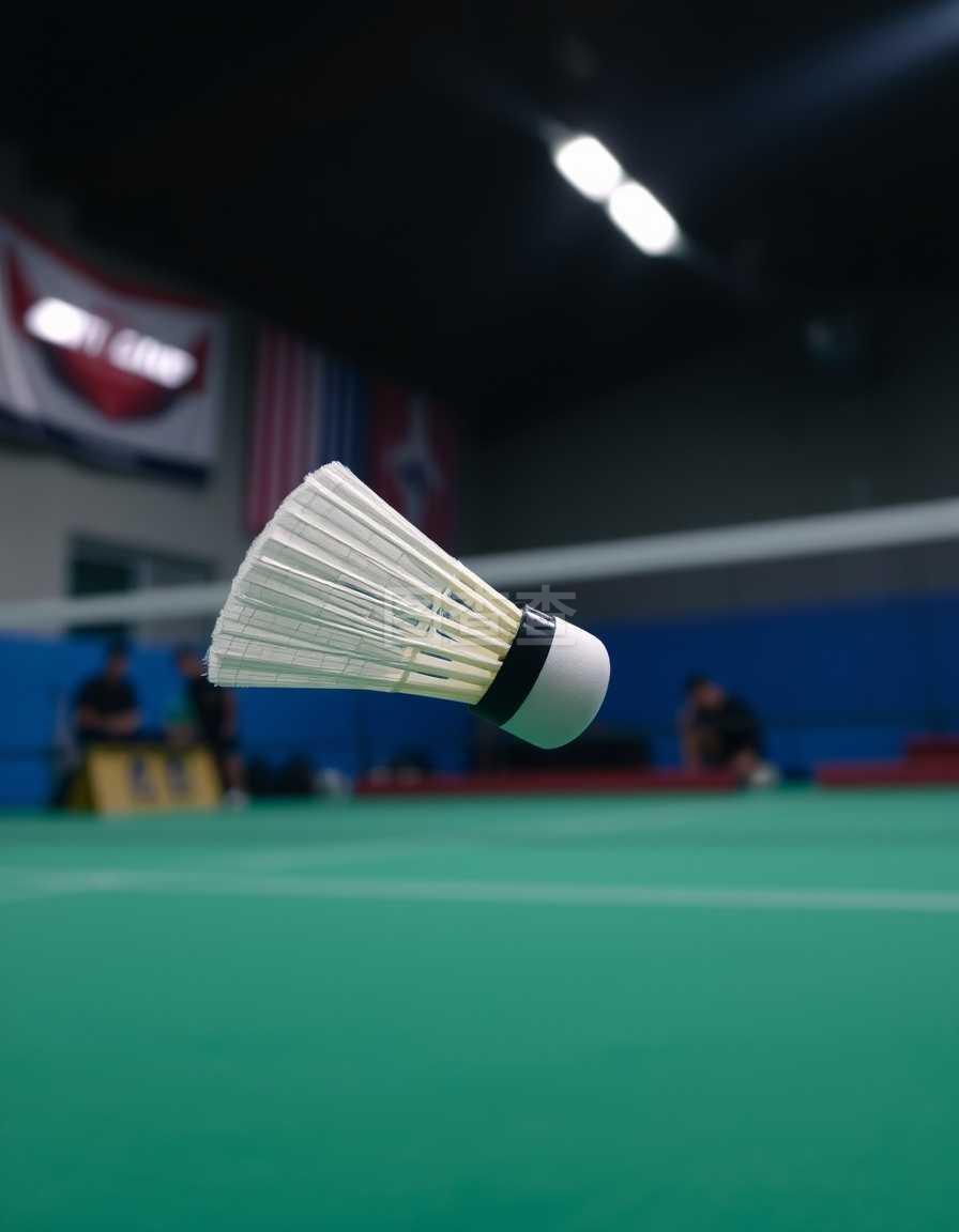 球员关注 球员关注